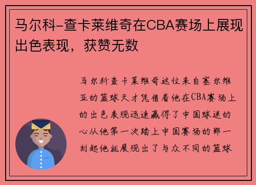 马尔科-查卡莱维奇在CBA赛场上展现出色表现，获赞无数